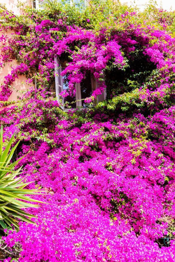 Orti 27 Garden Rome Trastevere - Rome Vacation M&D Экстерьер фото
